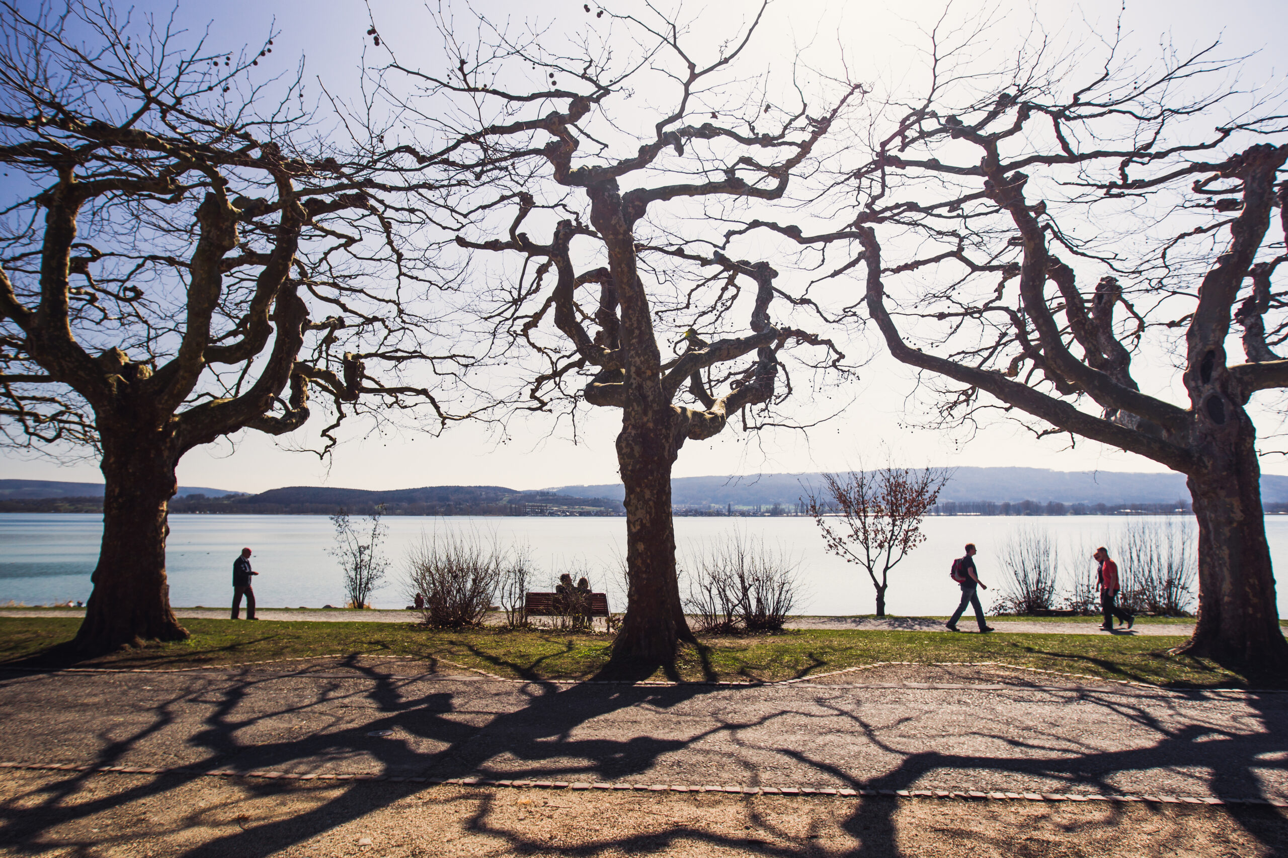 waterfront-promenade-by-the-lake-2026-01-05-00-40-11-utc